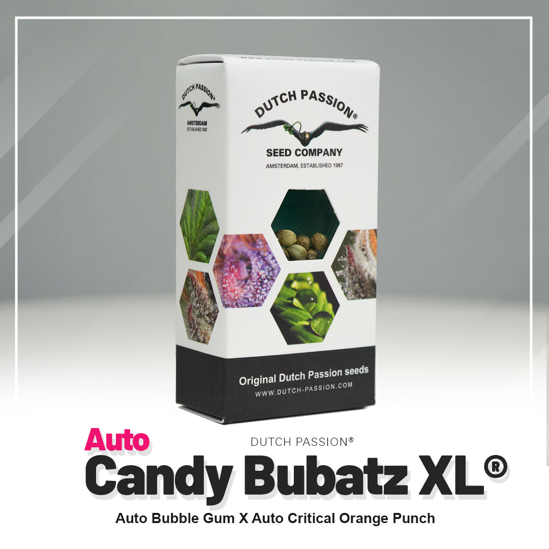 Candy Bubatz XL Auto
