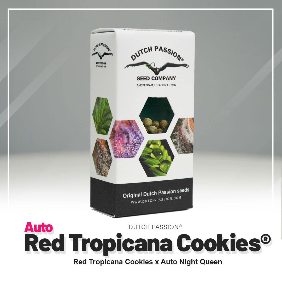 Red Tropicana Cookies Auto