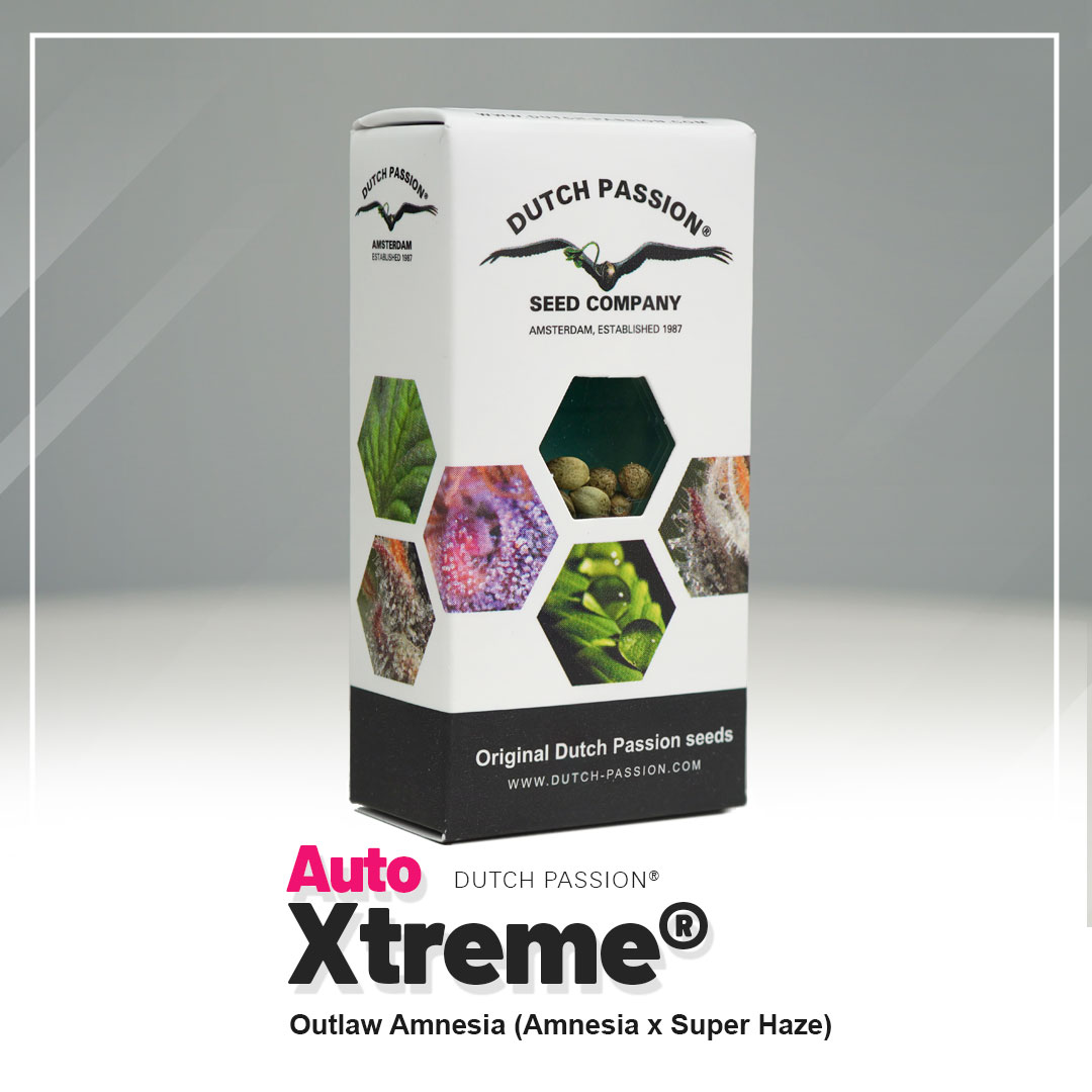 Xtreme Haze Auto