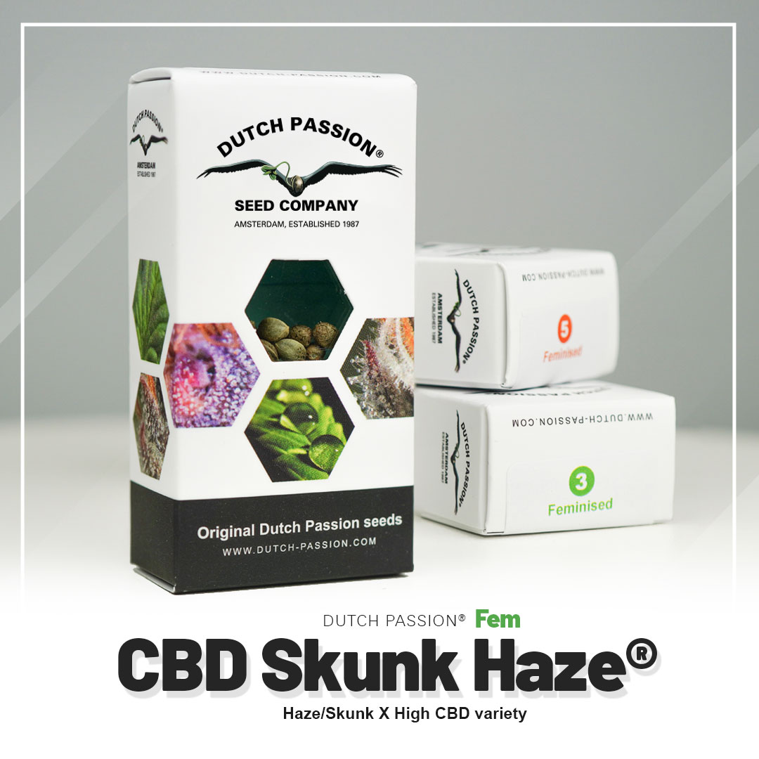 Skunk Haze CBD