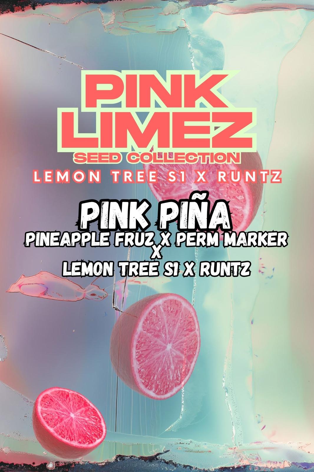 Pink Piña