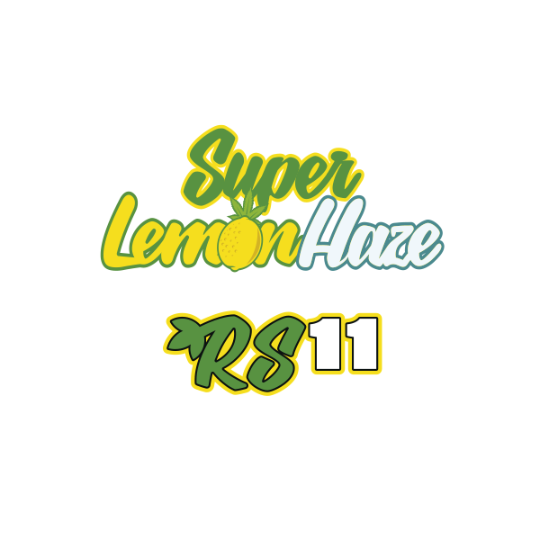 Super Lemon Haze x RS11 - Flora Urbana