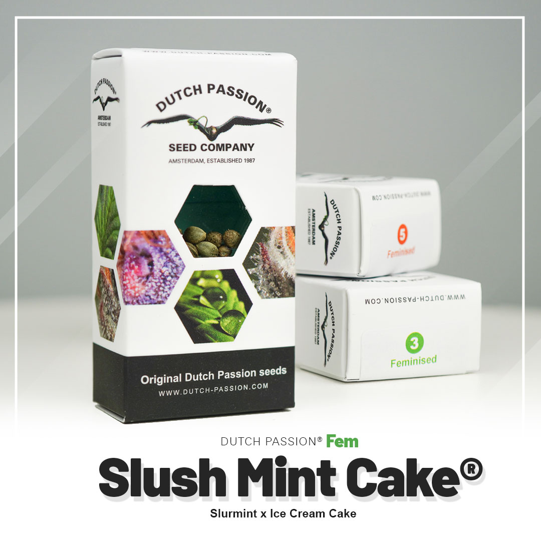Slush Mint Cake