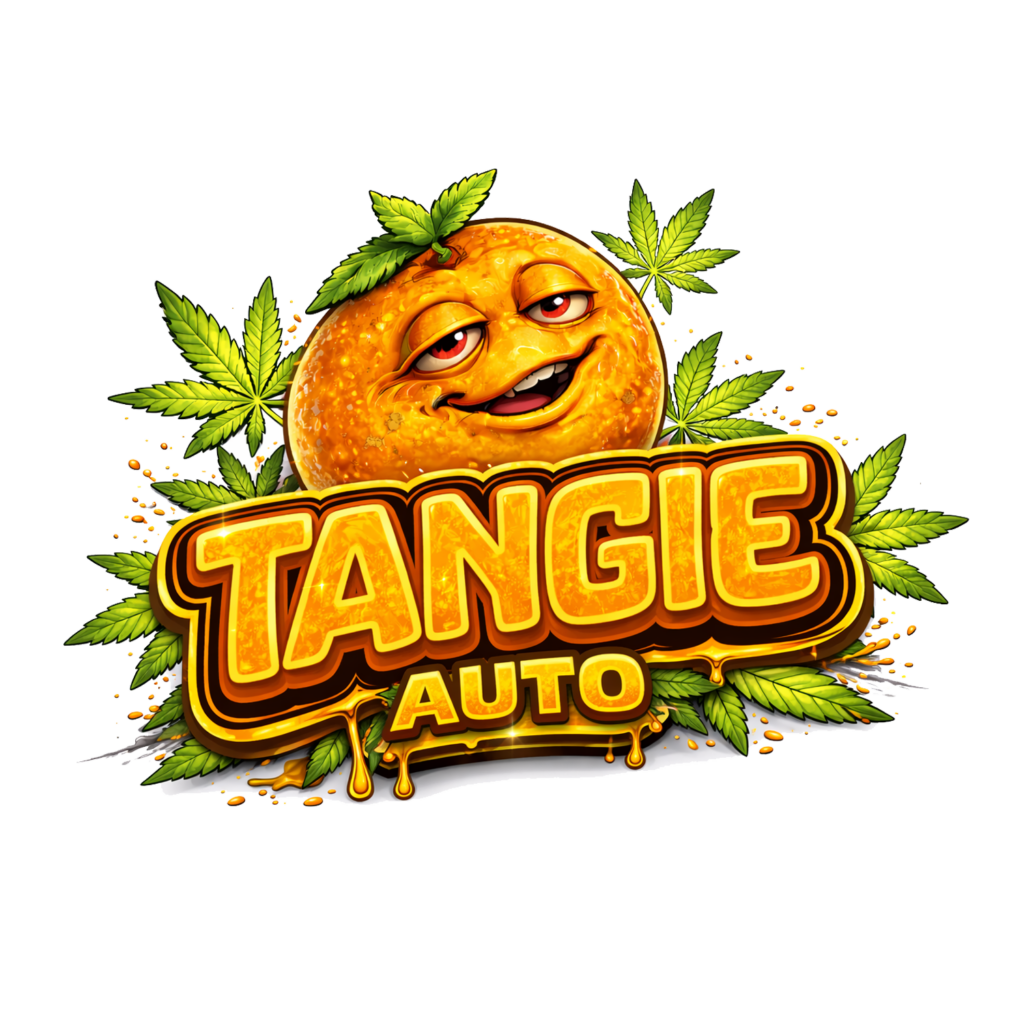 Tangie-auto-2-1024x1024.png