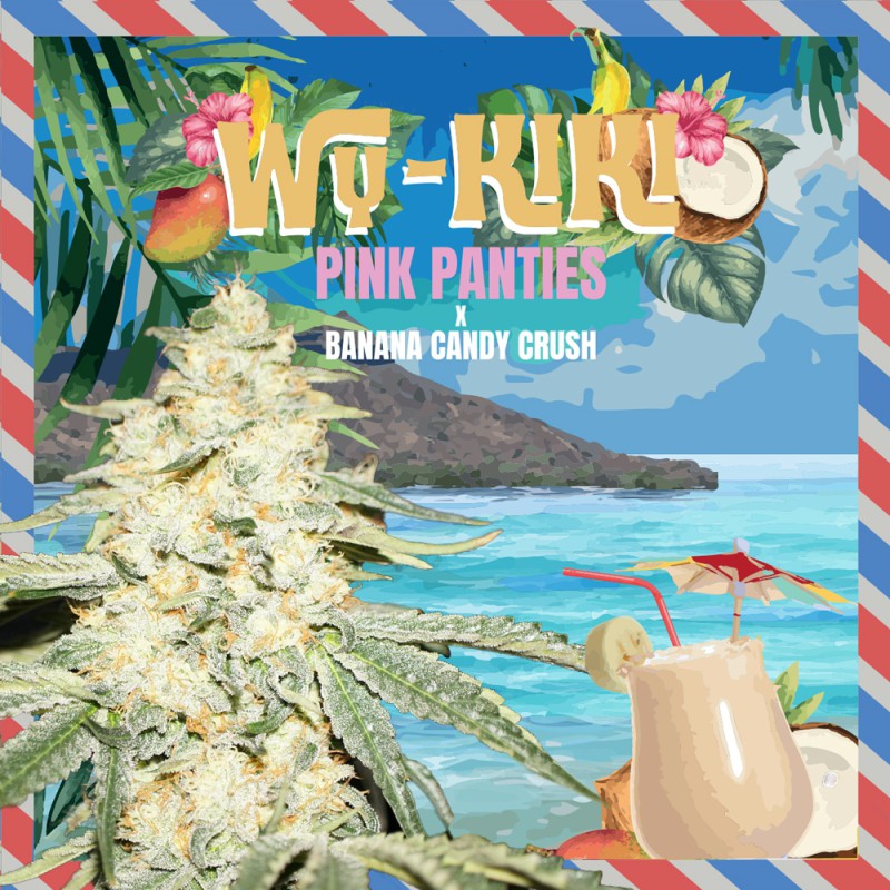 Wy-Kiki