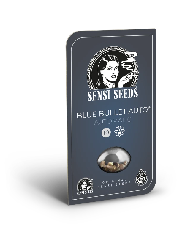 Blue Bullet Auto