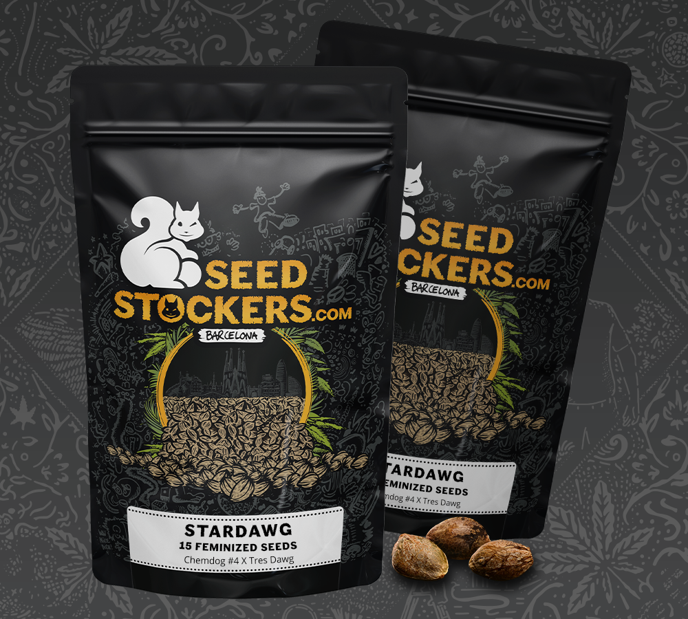 Stardawg