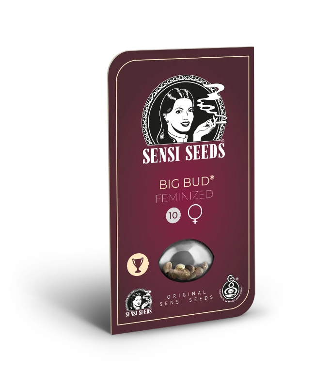 Big Bud