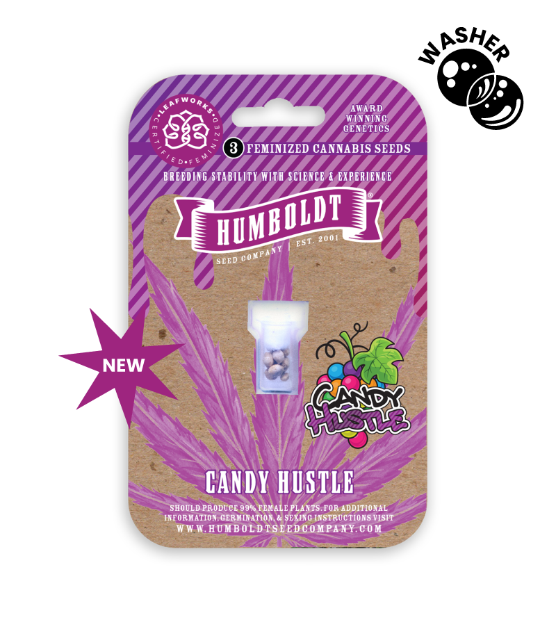 Candy Hustle
