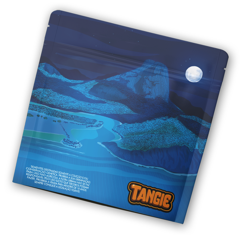 Tangie - Flora Urbana