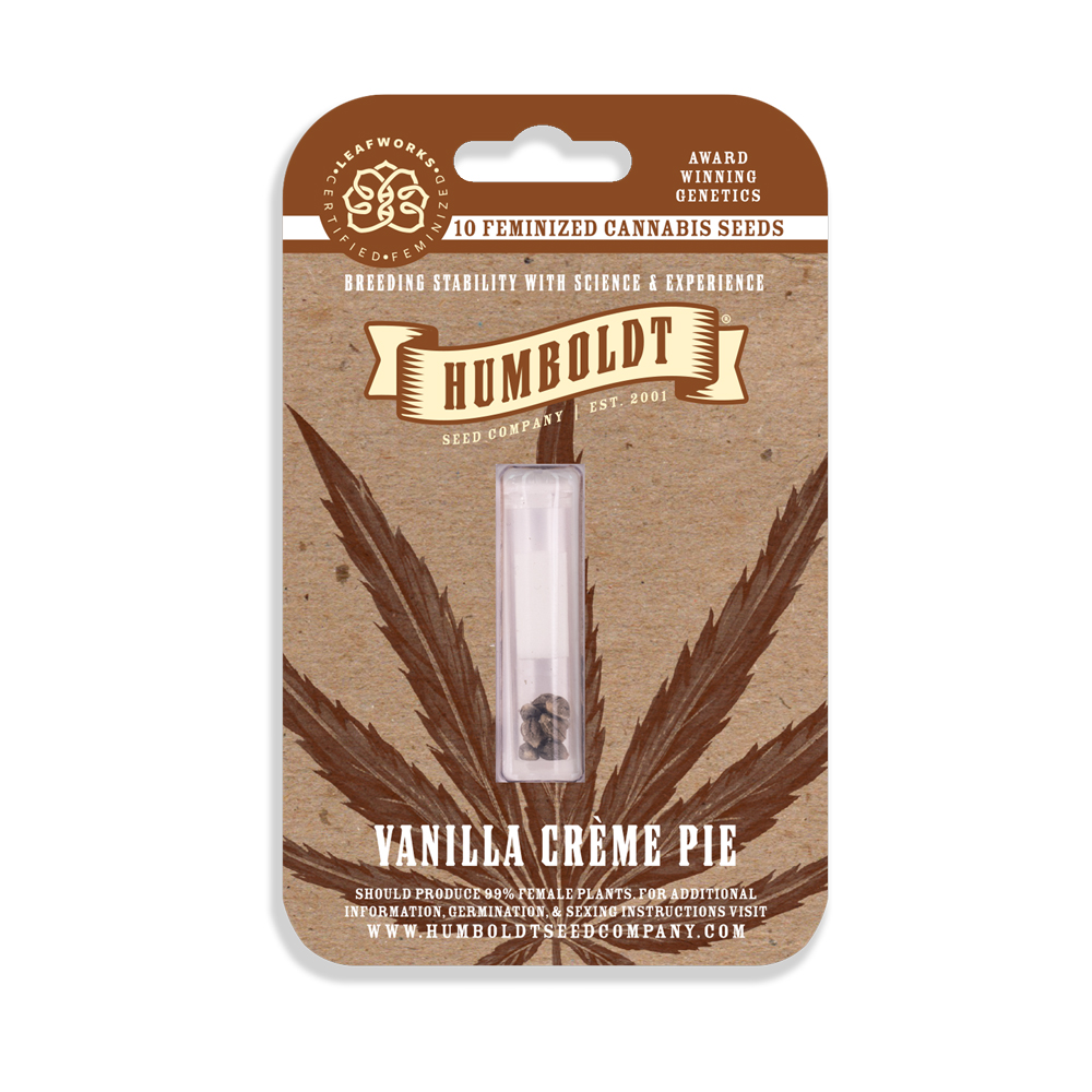 Vanilla Creme Pie