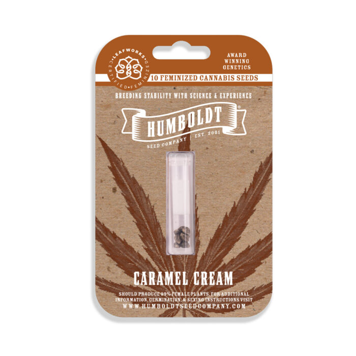Cream Caramel Auto